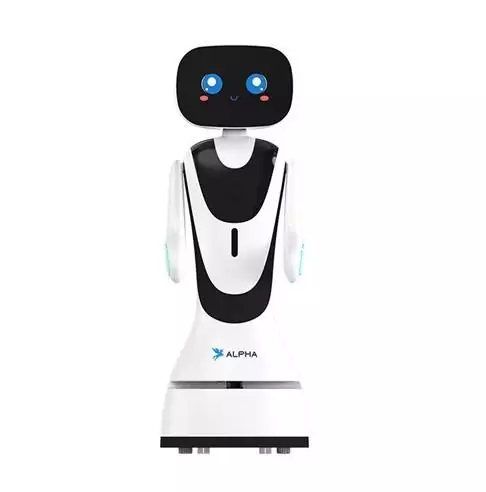 Alpha Arm Movable Timo Smart Robot