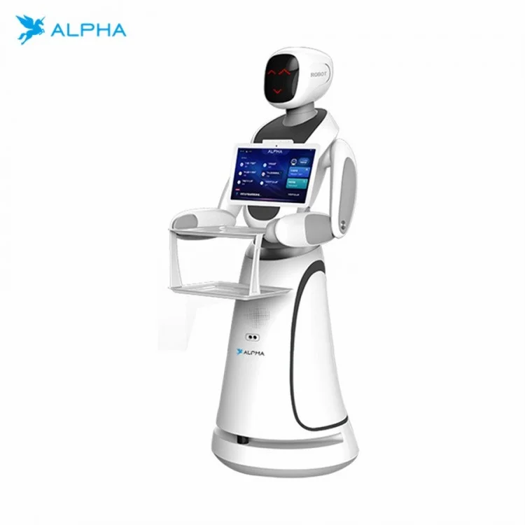 Alpha Robotics Amy Humanoid Robot