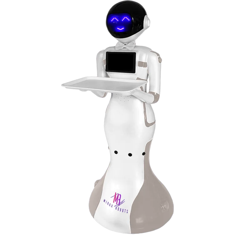 HUGO Restaurant Robot