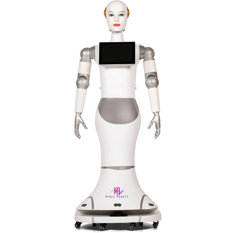 MAXINE Service Robot