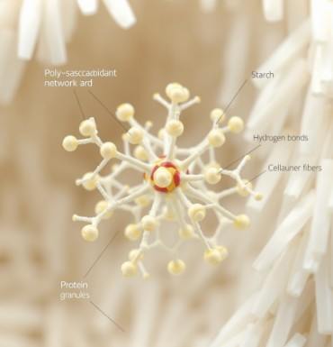 Прочность, эластичность и скорость разложения рисовой бумаги vs силикон — данные RoboSoft 2025