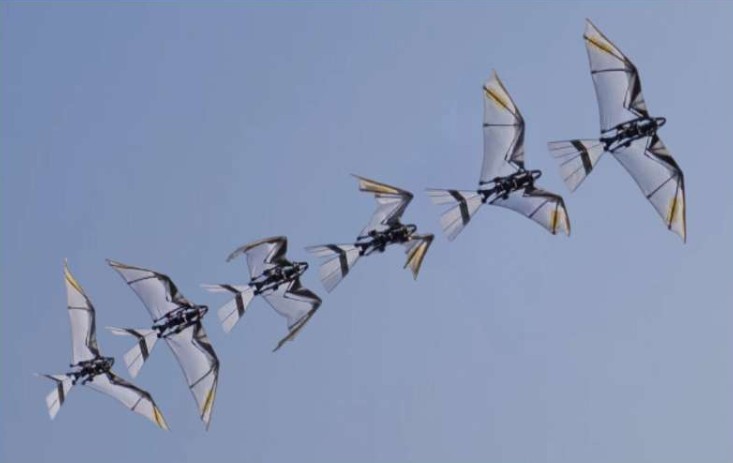 Птицеподобный робот с новой системой крыльев обеспечивает самостоятельный взлет и полет на низкой скорости