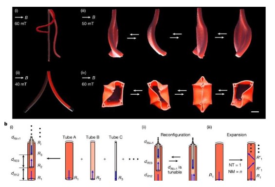 Робот, похожий на матрешку, меняет свою форму в режиме реального времени